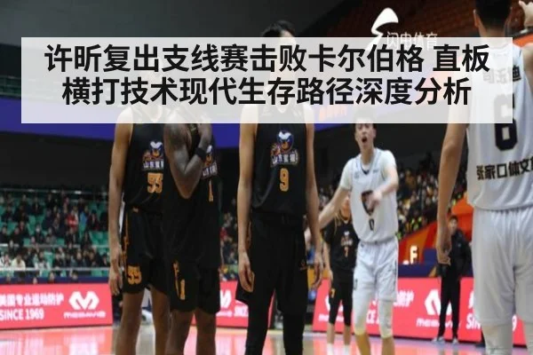 许昕复出支线赛击败卡尔伯格 直板横打技术现代生存路径深度分析